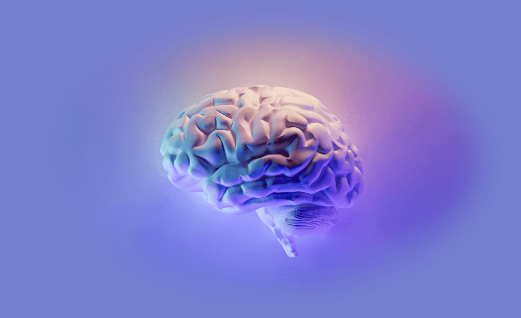 Brain